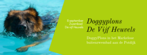doggyplons-fotostudio-markelo-workshop-evenement-actie2