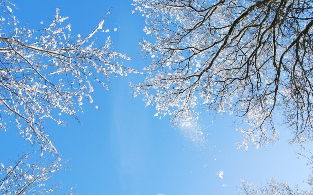 Fotografietips voor winterse plaatjes