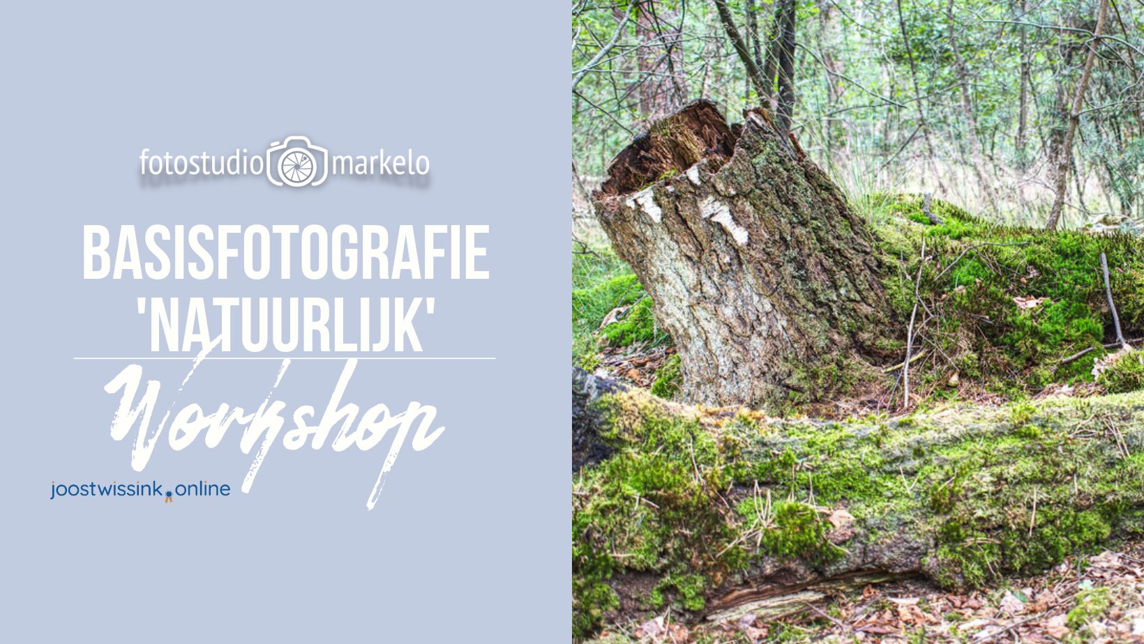 natuurfotografie-workshop