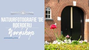 boerderij-fotografie-workshop (2)